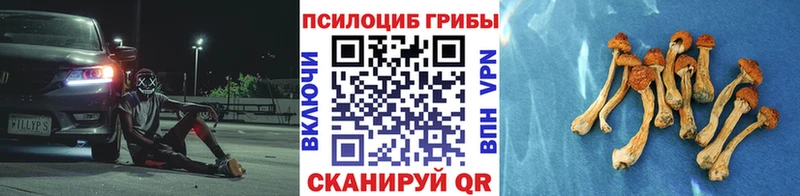 darknet формула  Шали  Псилоцибиновые грибы Cubensis 